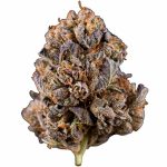 Purple Punch Outdoor CBD Blüten 10g For Sale Online
