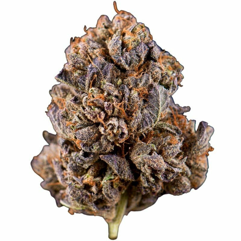 Купить Purple Punch Outdoor CBD Blüten 10g онлайн