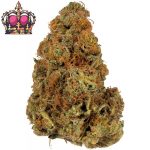 Купить печенье Queen Canada Cookies Indoor CBD Blüten 10 г онлайн