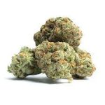 Продается онлайн сорт марихуаны Thin Mint Girl Scout Cookies.