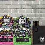 Купить одноразовую электронную сигарету TRĒ House Magic Mushroom 2 г онлайн