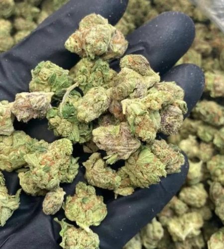 482027713_1197088931955501_366922803368750972_n